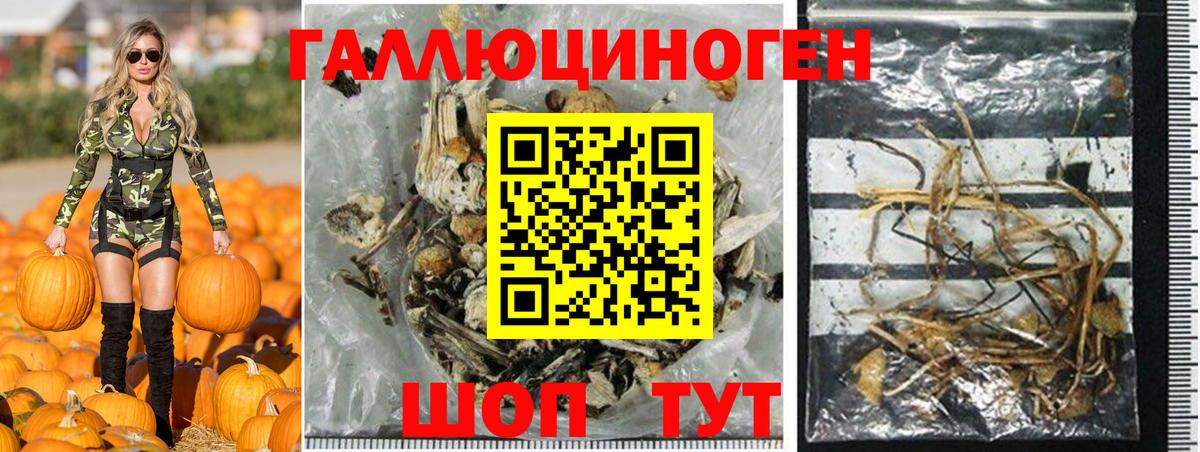 Псилоцибиновые грибы Psilocybine cubensis  Вход с VPN  Кропоткин 